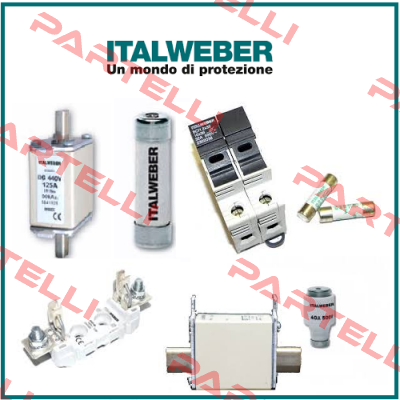 01287  Italweber