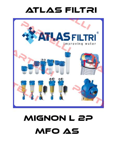Mignon L 2P MFO AS  Atlas Filtri
