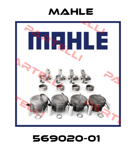 569020-01  MAHLE