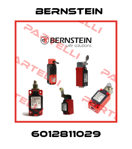 6012811029 Bernstein