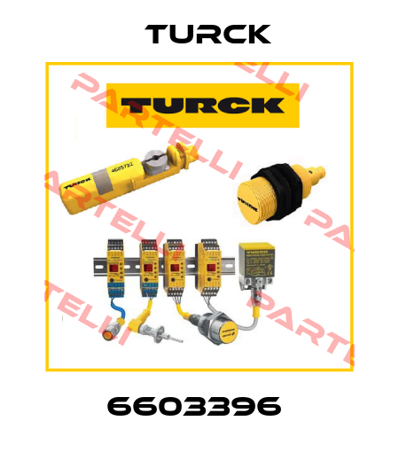 6603396  Turck
