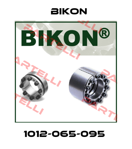 1012-065-095  Bikon