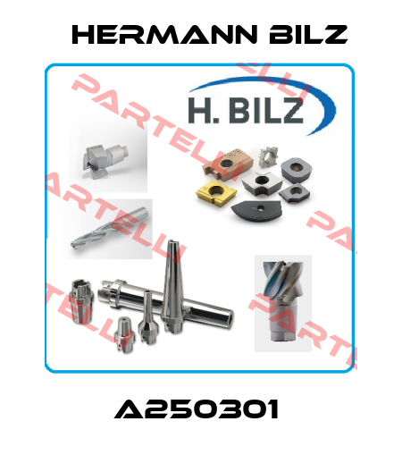 A250301  Hermann Bilz