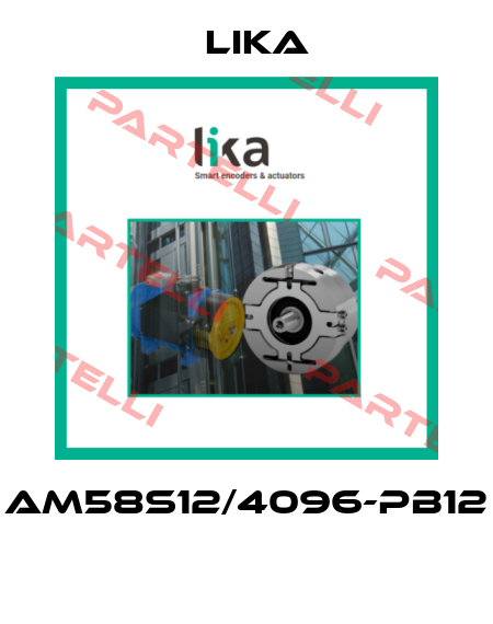 AM58S12/4096-PB12  Lika