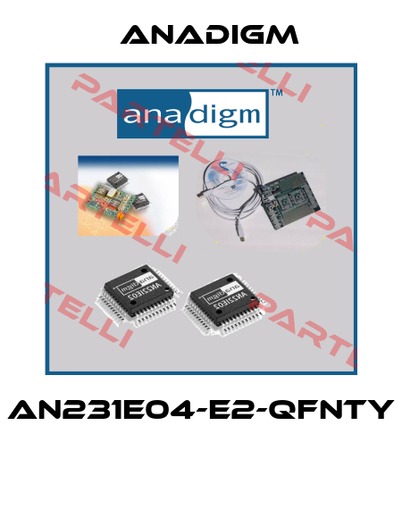 AN231E04-E2-QFNTY  Anadigm