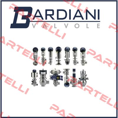 B925 TT VITON DN80  Bardiani Valvole