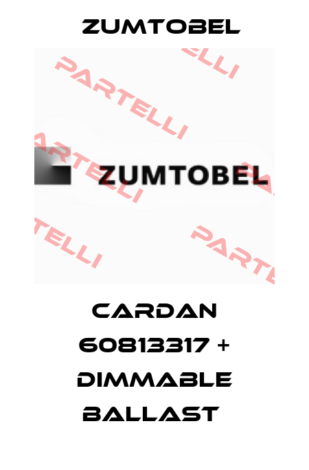 CARDAN 60813317 + DIMMABLE BALLAST  Zumtobel