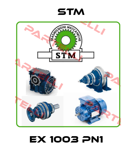 EX 1003 PN1  Stm