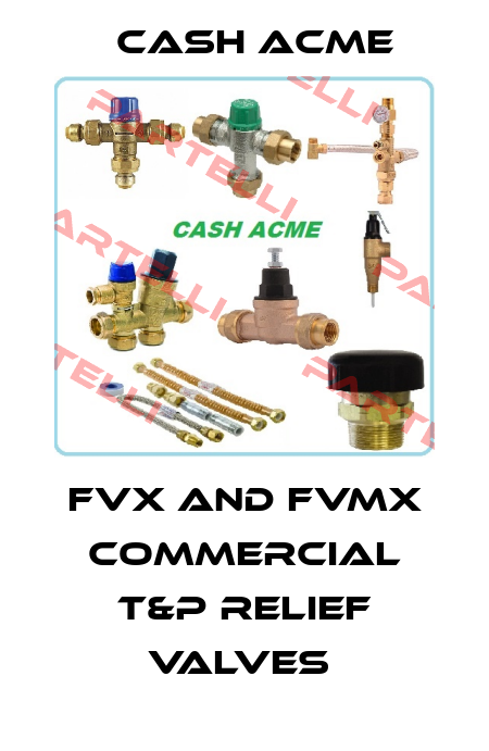 FVX AND FVMX COMMERCIAL T&P RELIEF VALVES  Cash Acme