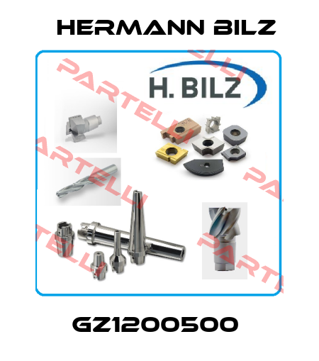 GZ1200500  Hermann Bilz