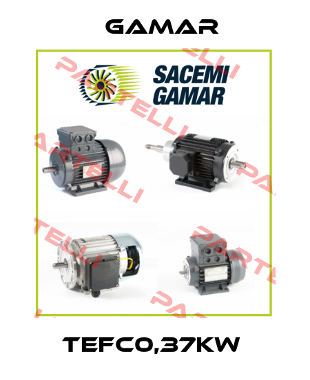 TEFC0,37kW  Gamar