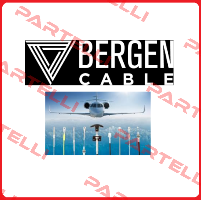 BM405 Bergen Cable Technology Llc