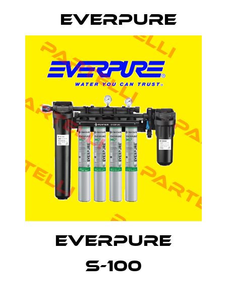 Everpure S-100 Everpure