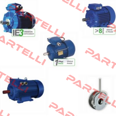2SIE 225 S-4 old code, new code 3SIE225S-4 Cantoni
