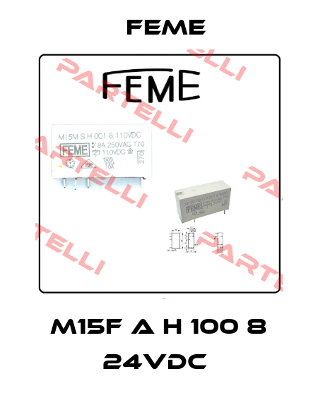 M15F A H 100 8 24VDC  Feme
