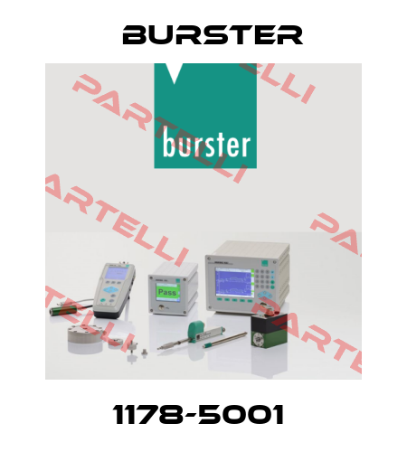 1178-5001  Burster