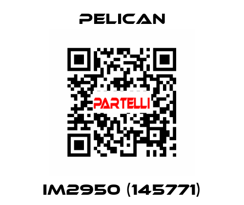 iM2950 (145771) Pelican