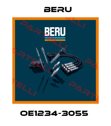 OE1234-3055  Beru
