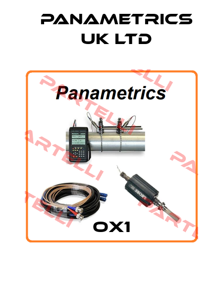 OX1 PANAMETRICS UK LTD