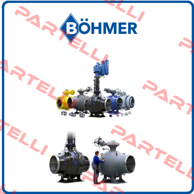 Repair Kit For 72 050 008 01 00 (valve is OEM) Böhmer