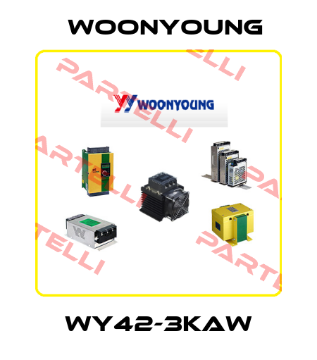 WY42-3KAW WOONYOUNG
