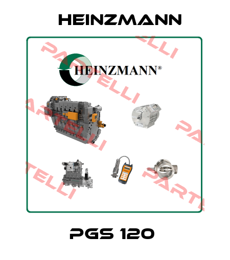 PGS 120  Heinzmann