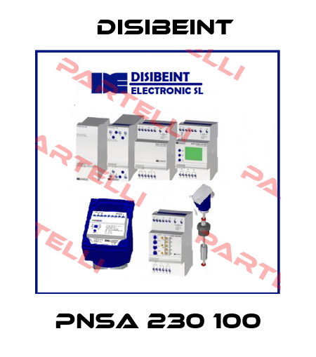 PNSA 230 100 Disibeint