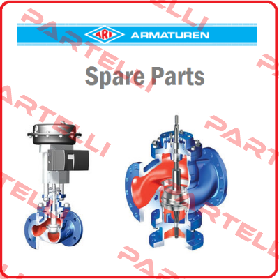 35.006 DN 50 ARI