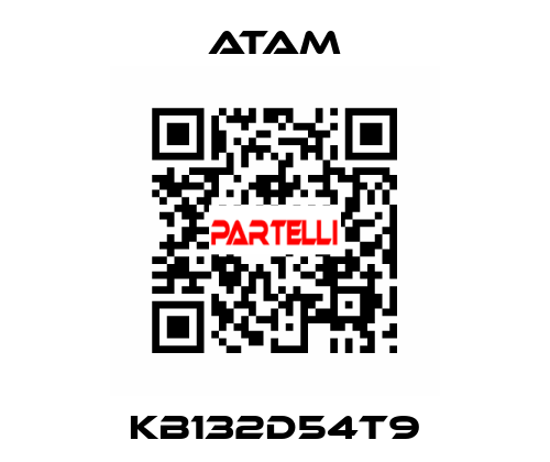 KB132D54T9 ATAM