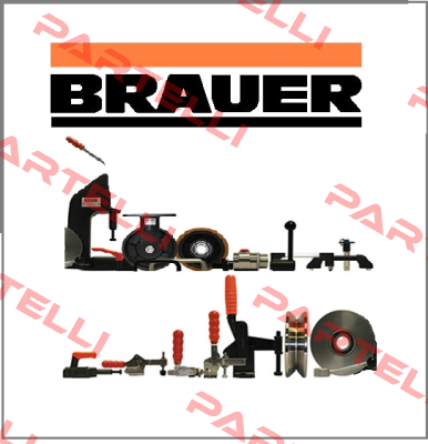 85100000001100  (AA31/04/01) Brauer