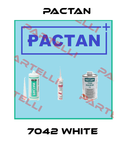7042 WHITE  PACTAN