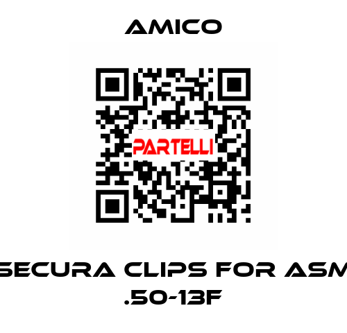 Secura Clips for ASM .50-13F AMICO