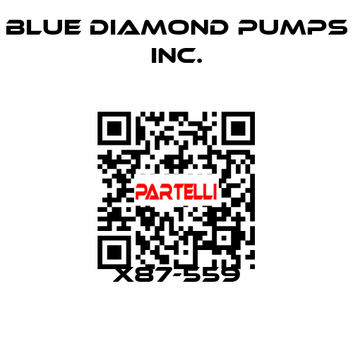 X87-559 Blue Diamond Pumps Inc.
