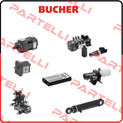 gear ring QT 00.12.02 for QT 43-025 R Bucher