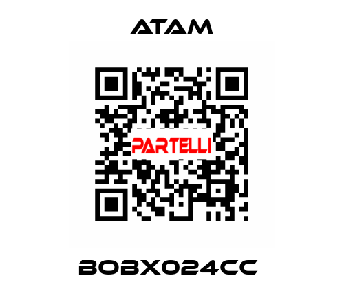 BOBX024CC  ATAM