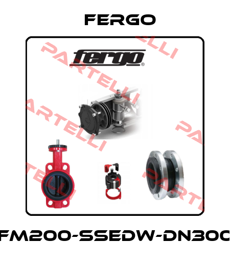 FM200-SSEDW-DN300 Fergo