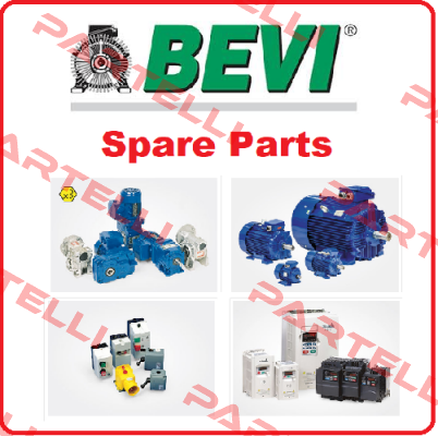 motor for 3D 280S-2 Bevi