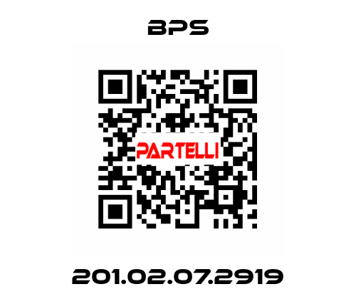 201.02.07.2919 BPS