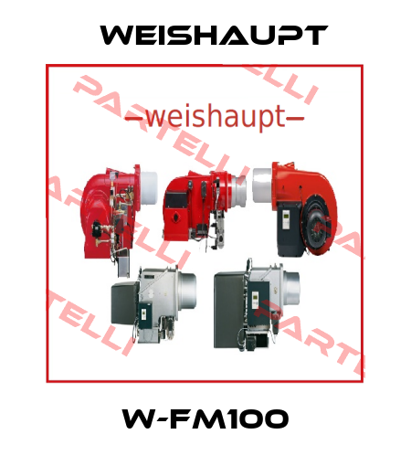 W-FM100 Weishaupt