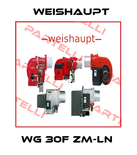 WG 30F ZM-LN  Weishaupt