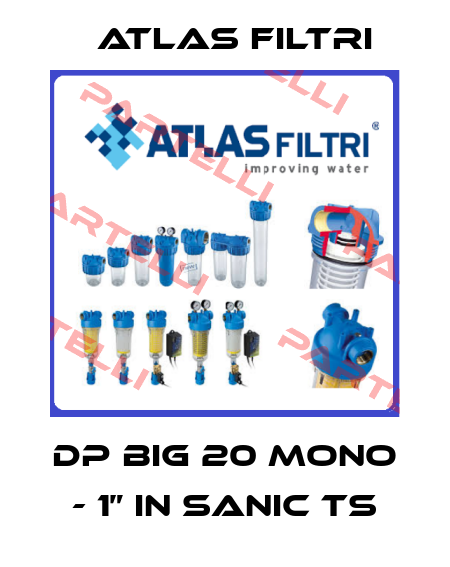 DP BIG 20 MONO - 1” IN SANIC TS Atlas Filtri