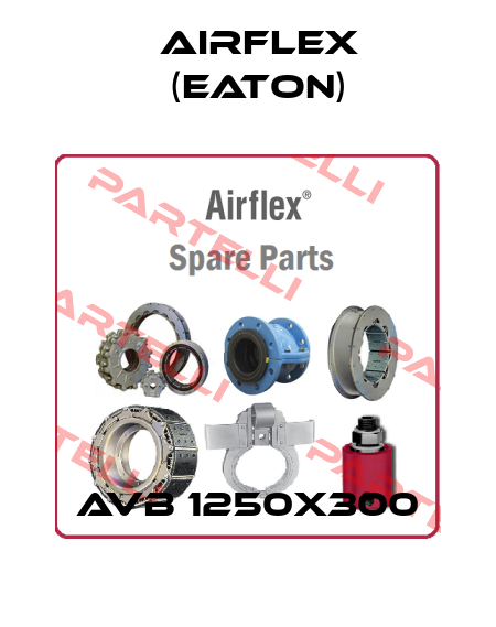 AVB 1250X300 Airflex (Eaton)