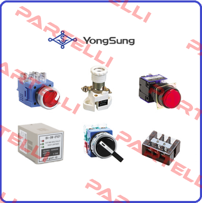 YSNPBL2-AL23R YongSung Electric