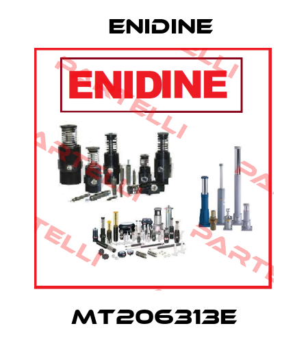 MT206313E Enidine