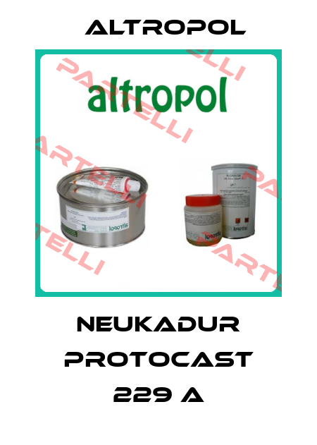 NEUKADUR ProtoCast 229 A Altropol