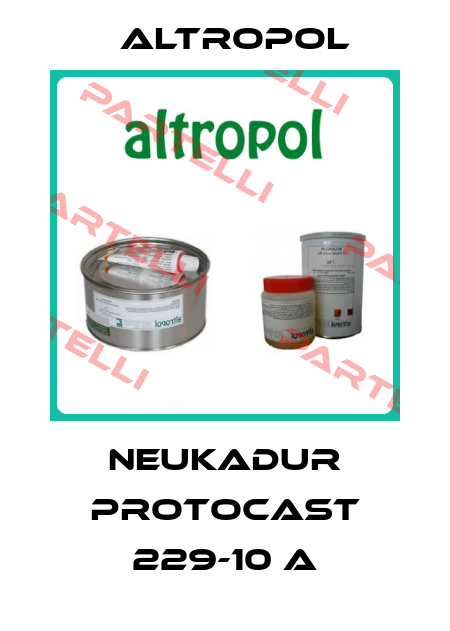 NEUKADUR ProtoCast 229-10 A Altropol