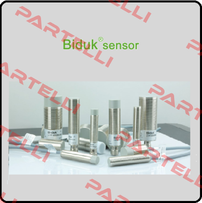 1CF-M1204P-SES4 Biduk