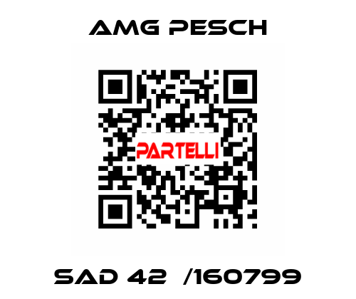 SAD 42  /160799 AMG Pesch