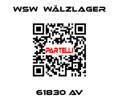 61830 AV WSW  Wälzlager