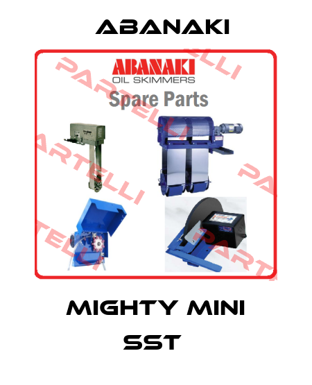Mighty Mini SST  Abanaki
